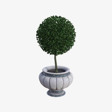 Potted Plant